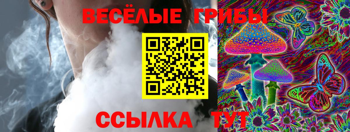 Псилоцибиновые грибы мицелий Строитель